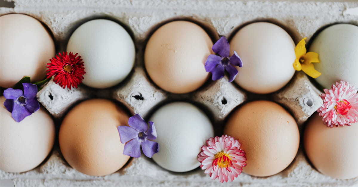 Fresh eggs and flowers in an egg box - LEOBS case study