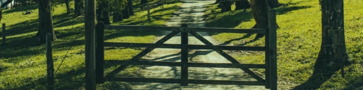 a gate and country lane