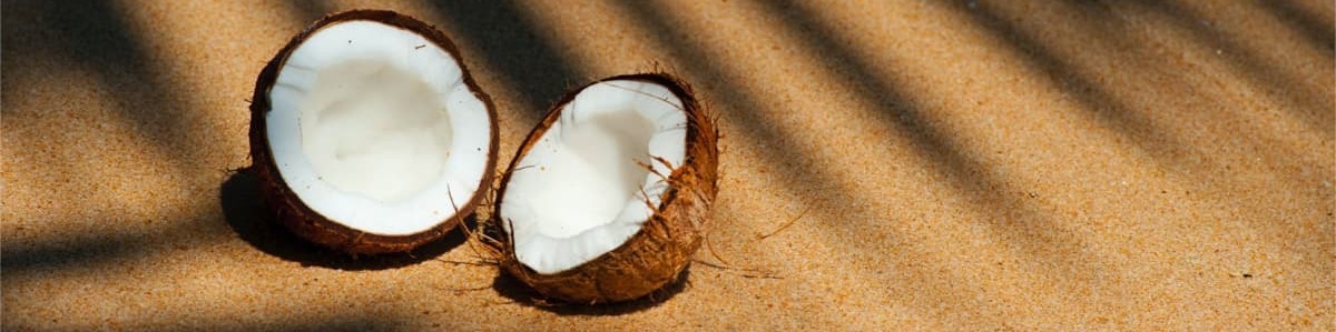 Coconut is good for sole traders and freelancers as well as tropical islands