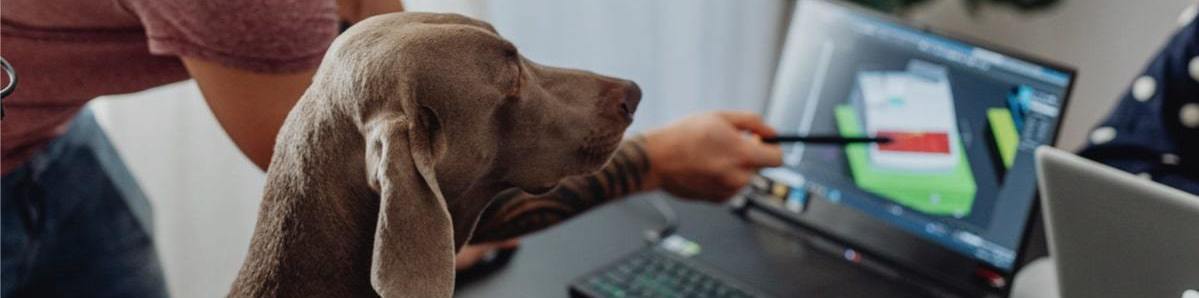 Your employees costs involve more than paying a salary - even if it's in dog biscuits