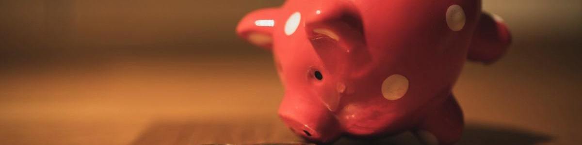Taking a closer look at profit and loss statements like this pink piggy bank